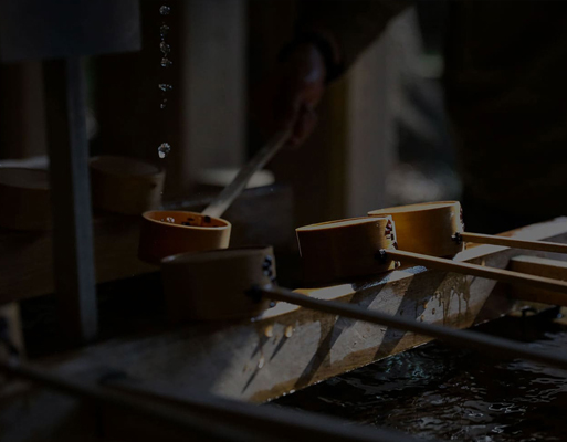 唐潮茶文化|tangchao茶庄园-第5张轮播图